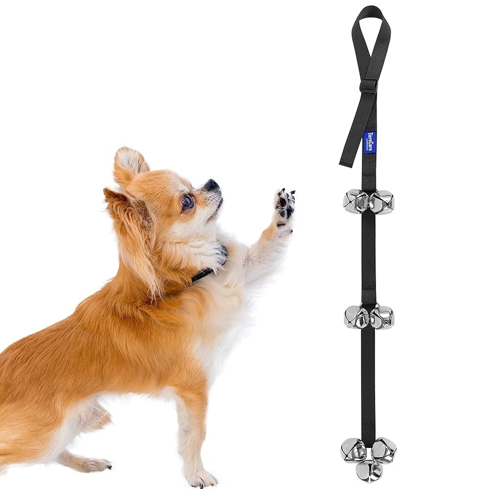 Dog Potty Training With Bell: Easy Steps to Success