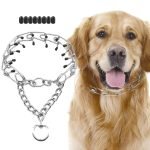 Dog Prong Collar Training: Essential Tips & Techniques