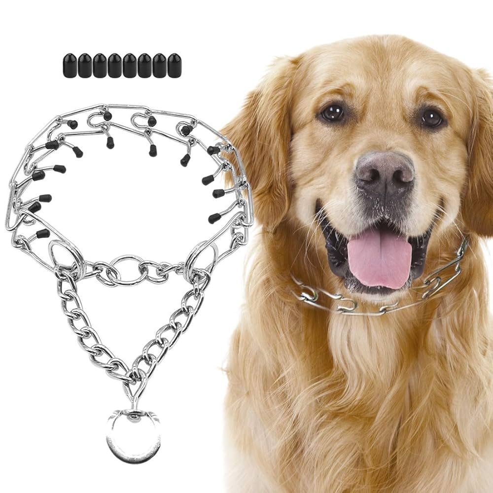Dog Prong Collar Training: Essential Tips & Techniques