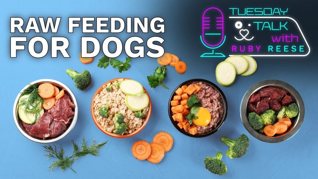 Dog Raw Diet Meal Plan: Boost Your Pet’s Health