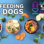 Dog Raw Diet Meal Plan: Boost Your Pet’s Health