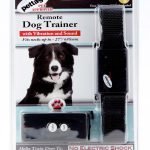 Dog Remote Collar Training: Transform Your Pup’s Behavior