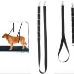 Dog Restraints for Grooming: Ensure Safe and Easy Sessions