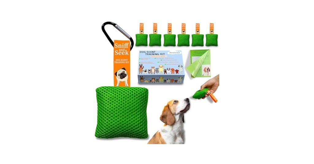 Dog Scent Training: Unleash Your Pet’s Hidden Potential