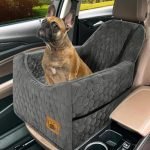 Dog Seats for Cars: Top Memory Foam Boosters for Small Dogs