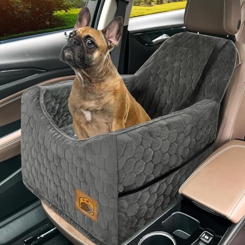 Dog Seats for Cars: Top Memory Foam Boosters for Small Dogs