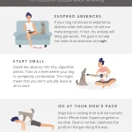 Dog Separation Anxiety Training: Effective Techniques Unveiled