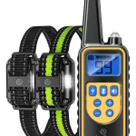 Dog Shock Collar Training: Effective Tips & Techniques
