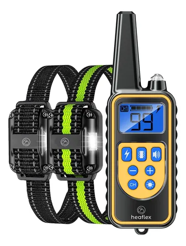 Dog Shock Collar Training: Effective Tips & Techniques