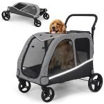 Dog Strollers for Large Breeds: Top Heavy-Duty Options for Comfort