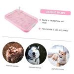 Dog Toilet Training: Master the Art in 7 Simple Steps