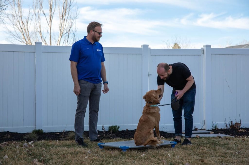 Dog Trainer for Potty Training: Expert Tips Unleashed 2025