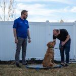 Dog Trainer for Potty Training: Expert Tips Unleashed 2025
