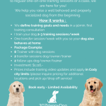 Dog Trainer Prices: Unlocking Affordable Expertise