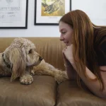 Dog Trainer Separation Anxiety: Expert Tips & Solutions