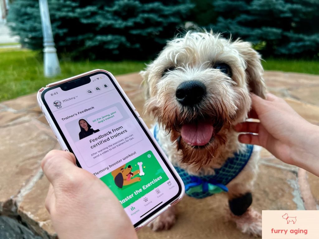 Dog Training App: Transform Your Pup’s Behavior Today!