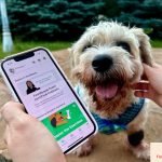 Dog Training App: Transform Your Pup’s Behavior Today!