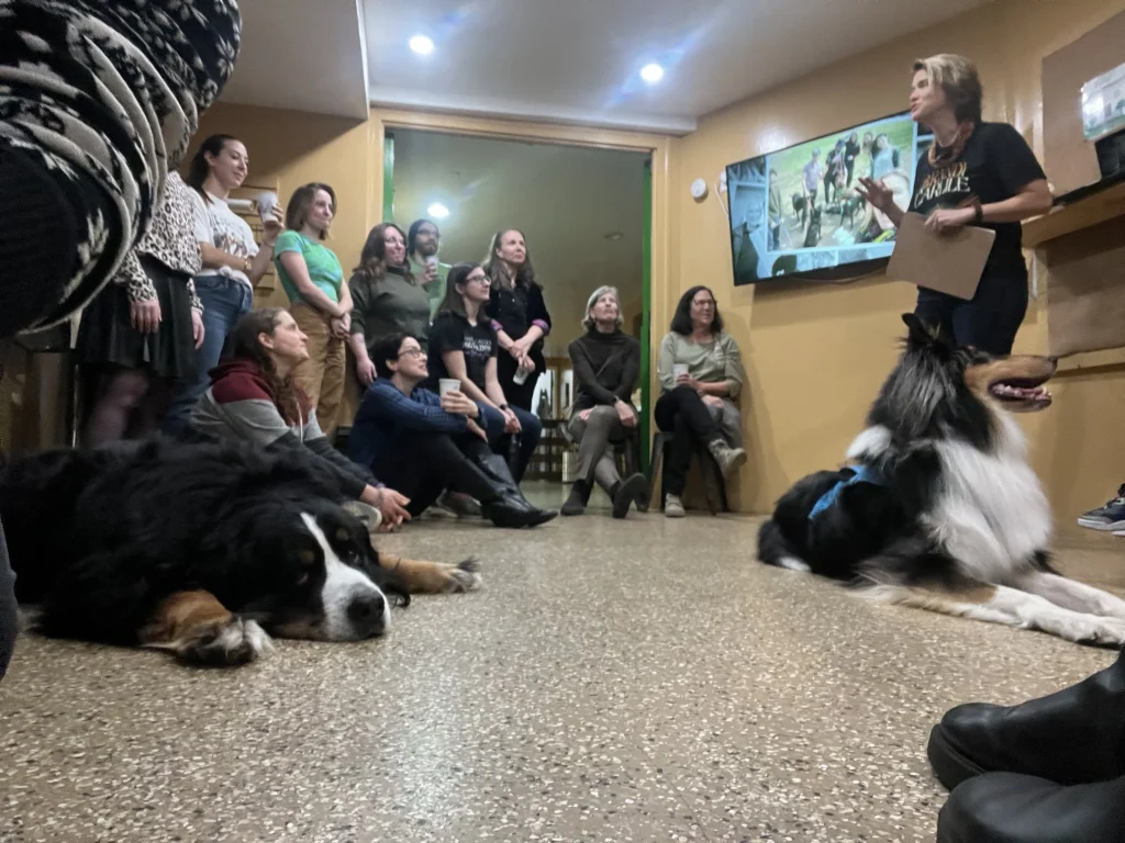 Dog Training Apprenticeship: Unlock Your Canine Career