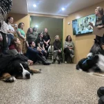 Dog Training Apprenticeship: Unlock Your Canine Career