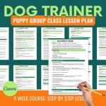 Dog Training Basic Obedience Lesson Plan: Master Success