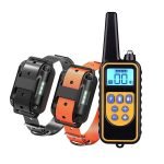 Dog Training Collars for Small Dogs: Ultimate Guide