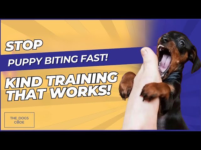 Dog Training for Biting: Effective Tips and Techniques