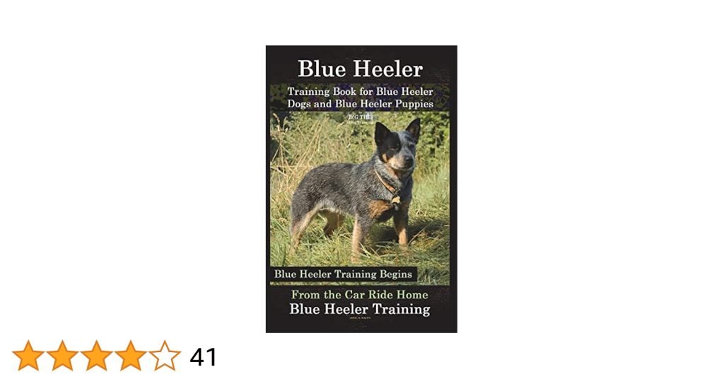 Dog Training for Blue Heelers: Mastering Obedience Skills