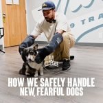 Dog Training for Fearful Dogs: Overcoming Anxiety