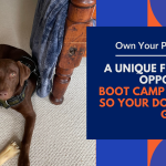 Dog Training Franchise: Unlock Lucrative Opportunities