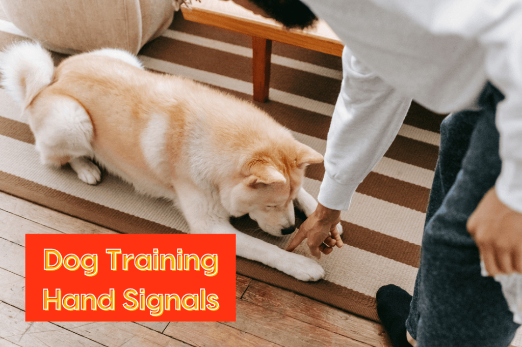 Dog Training Hand Signals Chart Pdf: Master Canine Commands