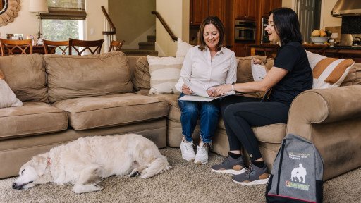 Dog Training in the Home: Master Techniques Today