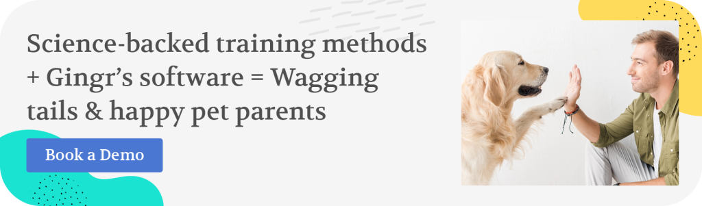 Dog Training Methods: Transform Your Pup Today
