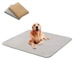 Dog Training Potty Pads: Essential Tips for Success