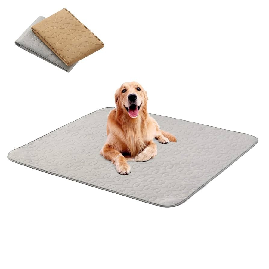 Dog Training Potty Pads: Essential Tips for Success