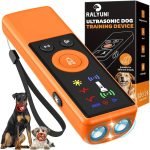 Dog Training Tools: Essential Gear for Effective Training