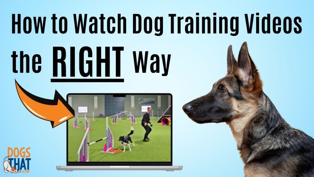 Dog Training Videos: Unlock Your Pup’s Potential