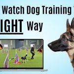 Dog Training Videos: Unlock Your Pup’s Potential