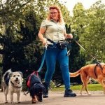 Dog Walking And Pet Sitting Insurance: Secure Your Business