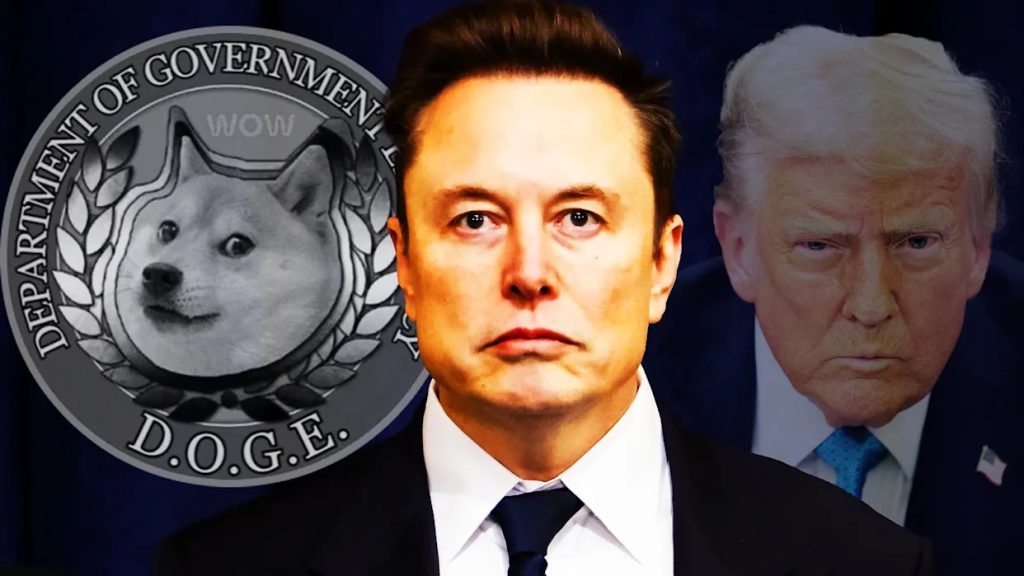 Doge Insurance Elon Musk: Revolutionizing Crypto Coverage