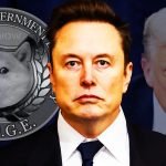 Doge Insurance Musk: Protect Your Crypto Investments