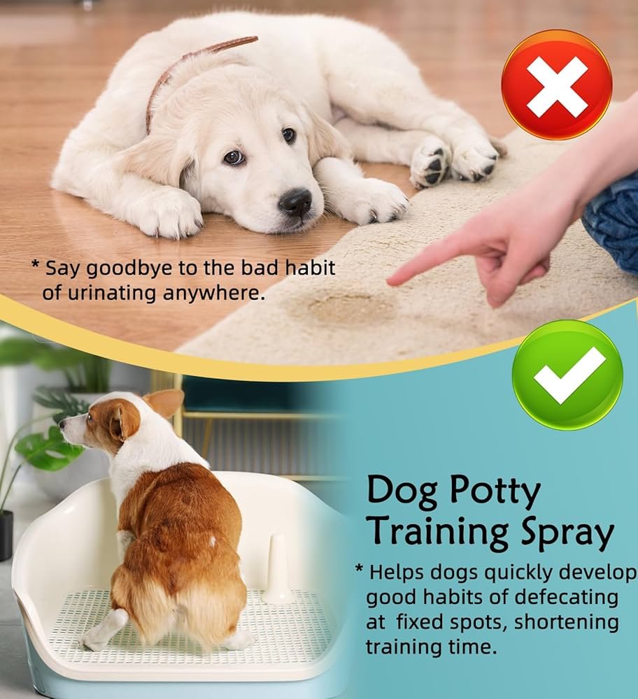 Dogs Potty Training