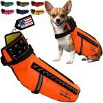 Dogs With Accessories: Elevate Your Pup’s Style