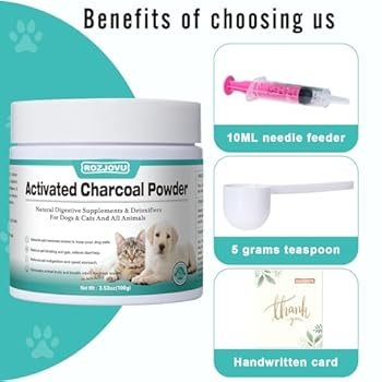 Dosage of Activated Charcoal for Dogs: Safe Guidelines
