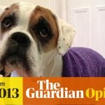 Elderly Dog Insurance: Protect Your Senior Canine Today