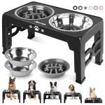 Elevated Slow Feeder Dog Bowls for Healthier, Faster, and Mess-Free Feeding