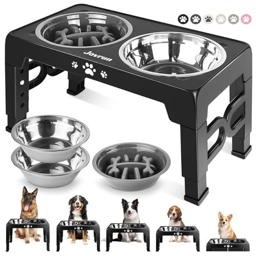 Elevated Slow Feeder Dog Bowls for Healthier, Faster, and Mess-Free Feeding