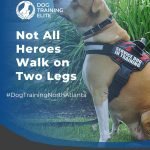 Emotional Support Dog Training: Transform Lives Today