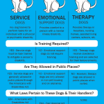 Emotional Support Dog Training: Essential Tips for Success