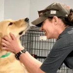 Epilepsy Dog Training: Empower Your Canine Companion