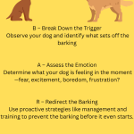 Excessive Barking – Behaviour Fix: Ultimate Guide